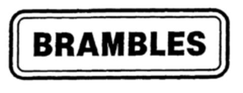 BRAMBLES Logo (EUIPO, 01.04.1996)