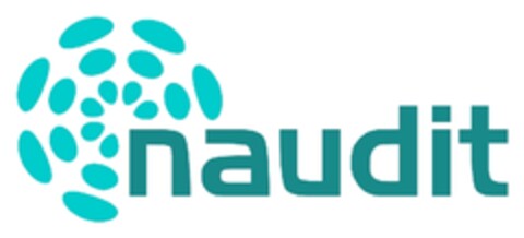 naudit Logo (EUIPO, 11/16/2012)