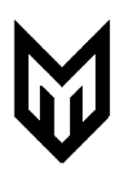 M Logo (EUIPO, 11/13/2013)