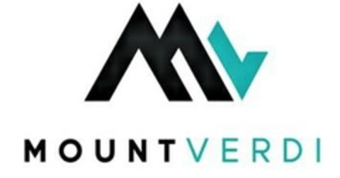 MOUNTVERDI Logo (EUIPO, 05.03.2020)