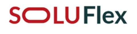 SOLUFlex Logo (EUIPO, 11.06.2024)