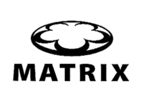 MATRIX Logo (EUIPO, 31.01.2005)