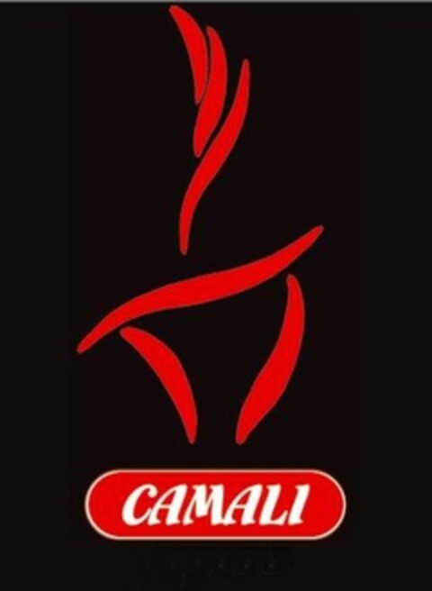 CAMALI Logo (EUIPO, 10/24/2005)