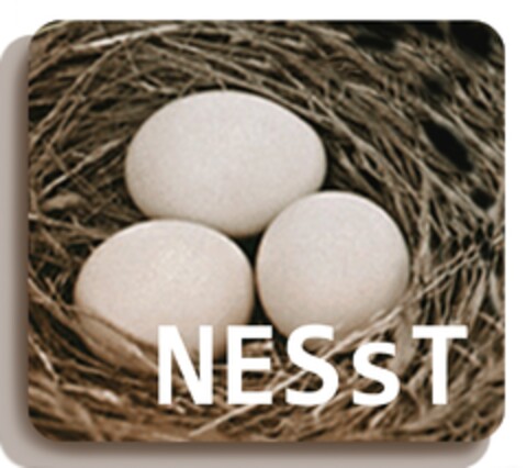 NESsT Logo (EUIPO, 16.11.2009)