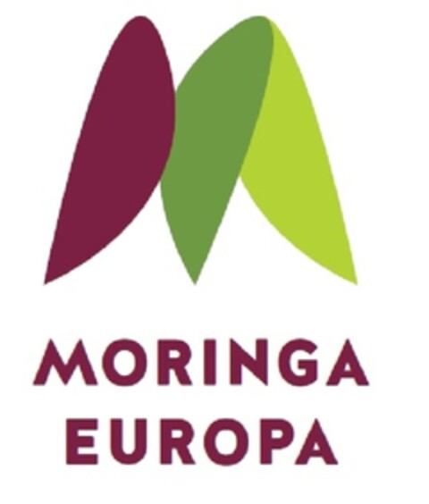 MORINGA EUROPA Logo (EUIPO, 04.07.2013)