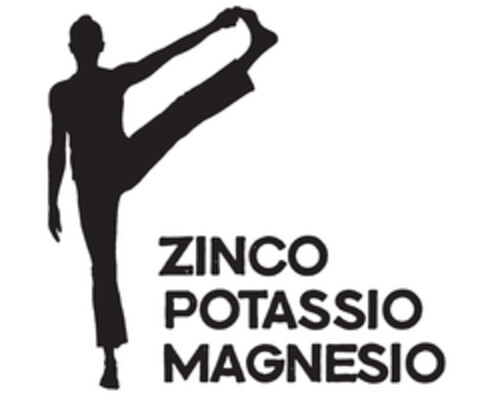 ZINCO POTASSIO MAGNESIO Logo (EUIPO, 07/18/2014)