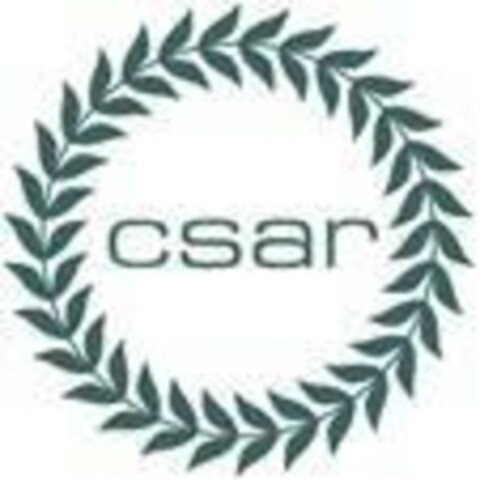 CSAR Logo (EUIPO, 13.05.2015)