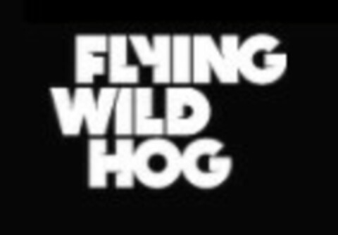 FLYING WILD HOG Logo (EUIPO, 11.12.2020)