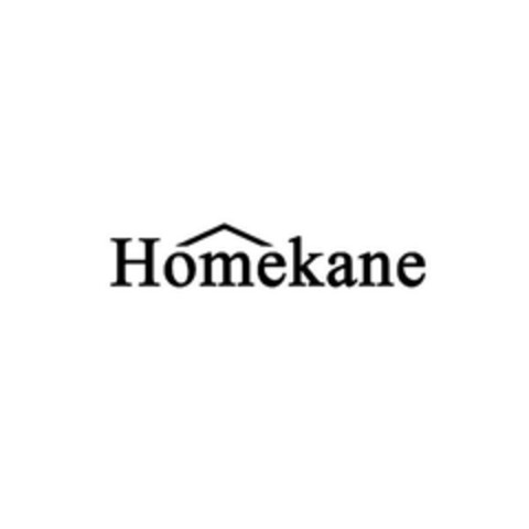 Homekane Logo (EUIPO, 11.06.2024)