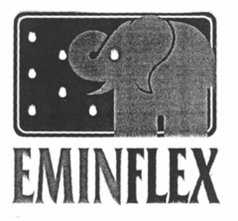 EMINFLEX Logo (EUIPO, 06/25/1996)