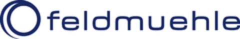 feldmuehle Logo (EUIPO, 17.08.2015)
