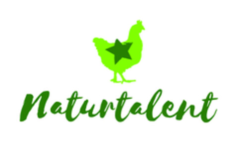 NATURTALENT Logo (EUIPO, 31.08.2017)