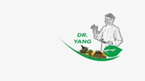 DR. YANG Logo (EUIPO, 18.12.2018)