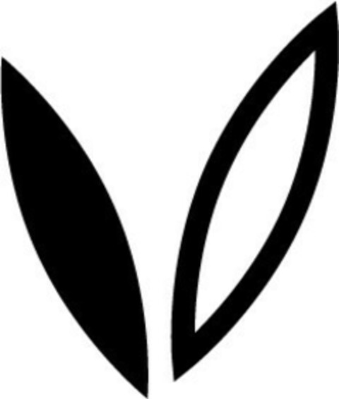 V Logo (EUIPO, 08.07.2020)