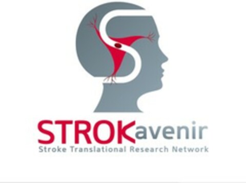 STROKavenir Stroke Translational Research Network Logo (EUIPO, 09/22/2020)