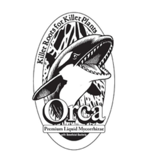 ORCA KILLER ROOTS FOR KILLER PLANTS PREMIUM LIQUID MYCORRHIZAE WITH BENEFICIAL BACTERIA Logo (EUIPO, 25.07.2022)