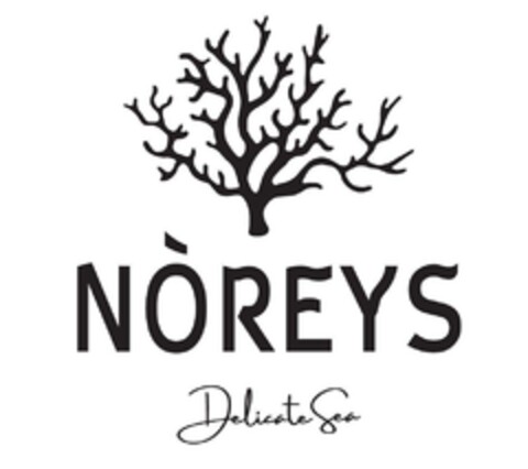 NÒREYS Delicate Sea Logo (EUIPO, 02/20/2023)