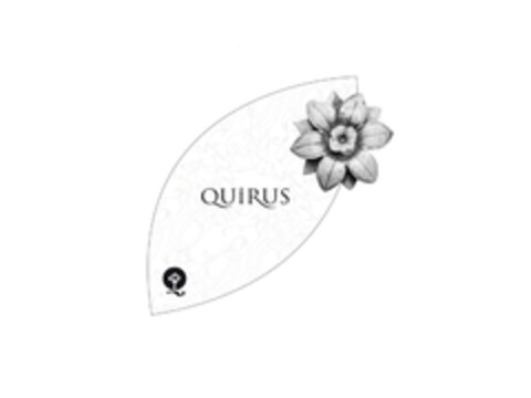 QUIRUS Logo (EUIPO, 03.12.2012)
