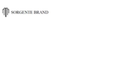 SORGENTE BRAND Logo (EUIPO, 03.04.2014)