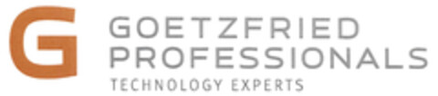 GOETZFRIED PROFESSIONALS TECHNOLOGY EXPERTS Logo (EUIPO, 02.04.2015)