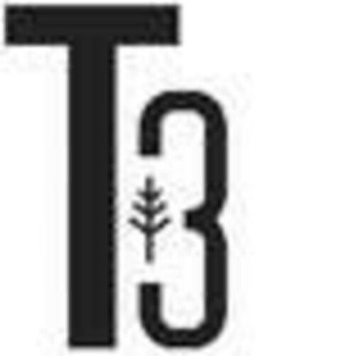 T3 Logo (EUIPO, 05/19/2022)