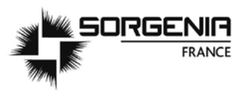 SORGENIA FRANCE Logo (EUIPO, 27.09.2010)