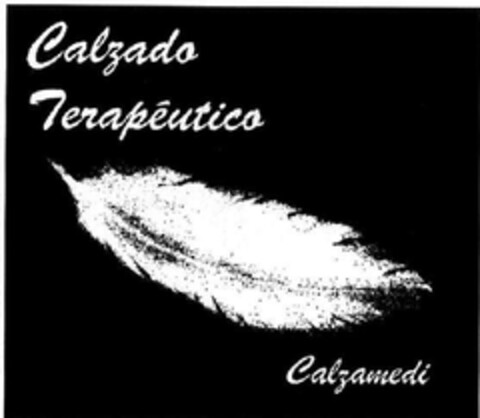 CALZADO TERAPEUTICO CALZAMEDI Logo (EUIPO, 14.12.2010)
