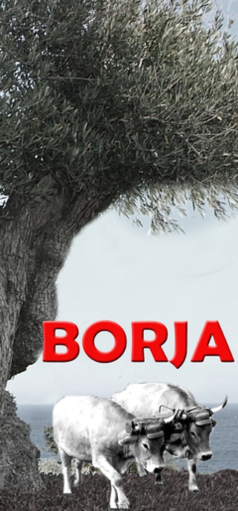 BORJA Logo (EUIPO, 04/21/2013)