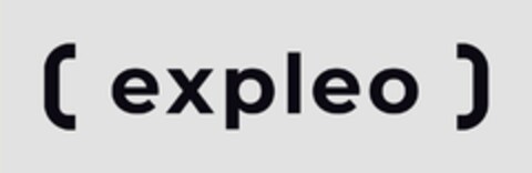 expleo Logo (EUIPO, 02/11/2019)