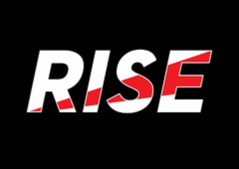 RISE Logo (EUIPO, 03.02.2021)