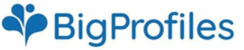 BIG PROFILES Logo (EUIPO, 02.03.2021)