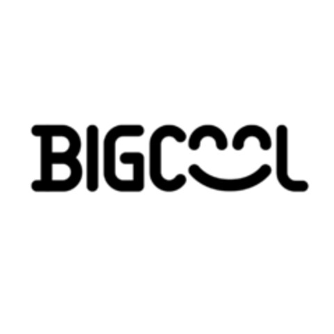 BIGCOOL Logo (EUIPO, 27.05.2021)