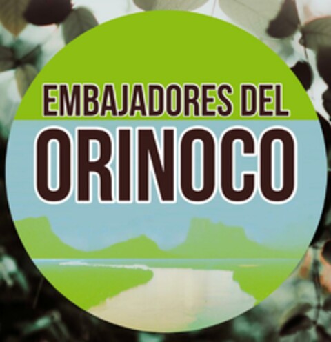 EMBAJADORES DEL ORINOCO Logo (EUIPO, 10/16/2023)