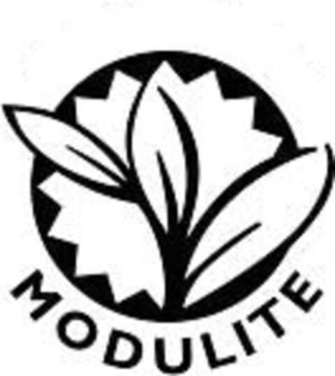 MODULITE Logo (EUIPO, 04.08.2005)