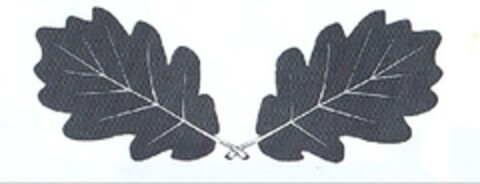 Logo (EUIPO, 04/20/2009)
