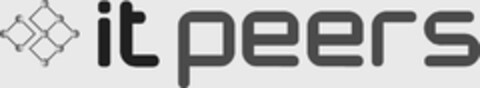 IT peers Logo (EUIPO, 04.11.2013)