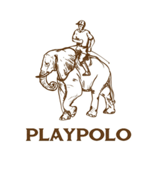 PLAYPOLO Logo (EUIPO, 28.10.2015)