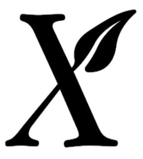 X Logo (EUIPO, 13.06.2022)