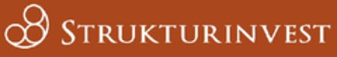 STRUKTURINVEST Logo (EUIPO, 27.04.2009)