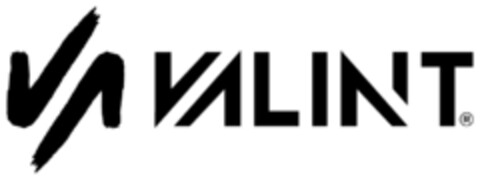 VALINT Logo (EUIPO, 10/25/2017)