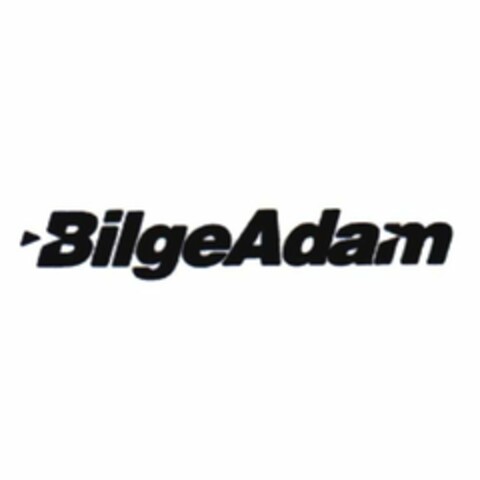 bilge adam Logo (EUIPO, 03/06/2019)