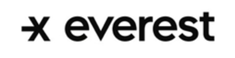 everest Logo (EUIPO, 11/24/2020)