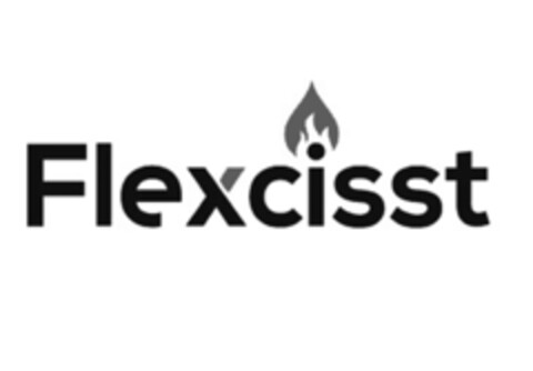 Flexcisst Logo (EUIPO, 07.01.2021)