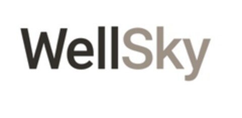 WellSky Logo (EUIPO, 03.08.2021)