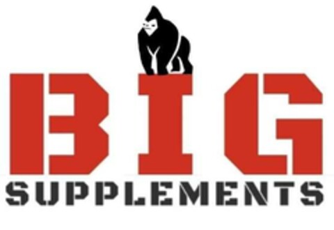 Big supplements Logo (EUIPO, 11/28/2022)