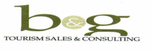 b & g TOURISM SALES & CONSULTING Logo (EUIPO, 31.01.2000)