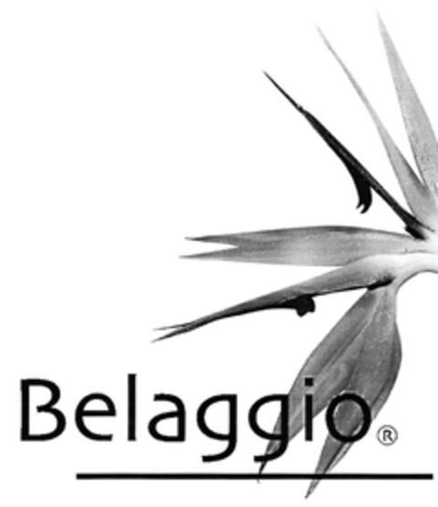 Belaggio Logo (EUIPO, 09/09/2004)