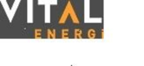 VITAL ENERGI Logo (EUIPO, 09.11.2007)