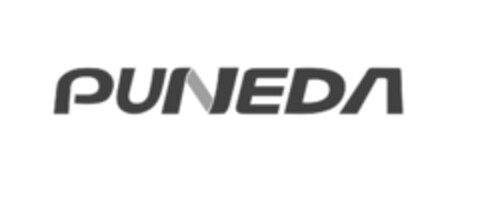 PUNEDA Logo (EUIPO, 29.09.2014)