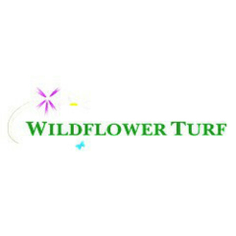 Wildflower Turf Logo (EUIPO, 06/12/2015)